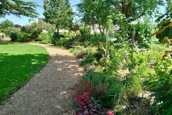green grass field with green trees and plants
